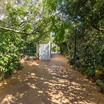 Villa Mimosa