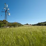 Hort Den Gelos Campanet Mallorca