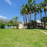Finca Verde