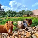 Finca Agroturismo Sa Cova Den Borino