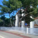 Apartamentos Rex Con 2 Camere Da Letto