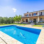 L'Olivar