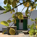 Casa Rural Can Pep De Sa Barda - Entre Vinedos - Formentera Natural