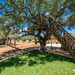Ideal Property Mallorca - Sa Canova D'Ariany