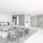 Luci Oculaci Ibiza Luxury Villa