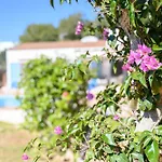 Quite Villa With Private Pool In Binibeca