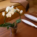 Casa Muro Luxury Villa