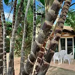 Bungalow Tropical Nº6 - Son Xoriguer
