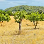 Wunderschoene Finca Alcudia Mit Wlan Und Heizung