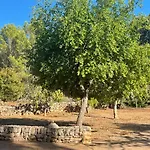 Wunderschoene Finca Alcudia Mit Wlan Und Heizung