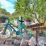 Naturaleza Y Tranquilidad A 800M De Playa Migjorn