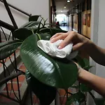 Hotel Plaza El Santuario