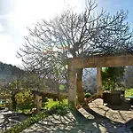 Sa Vall Valldemossa