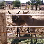 Agroturismo Finca Sant Blai