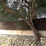 Agroturismo Finca Dalt Murada