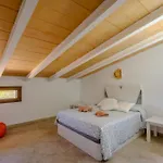 Selva 168893