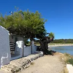 Es Grau Lamorino
