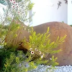 Villa Juncos