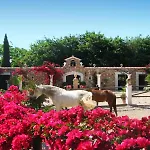 Finca Santa Lucia