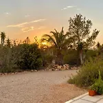 Ses Oliveres