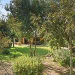 Sa Marjal