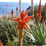 Apartments Parque Mar Cala D'Or 2 Bedrooms