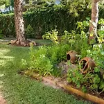 House In Platja De Muro Free Wifi