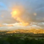 Buena Vista