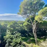 Ses Roques Vermelles - Menorca