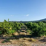 El Limonar De Mallorca - Agroturismo