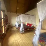 Itambira Island, Seeds Of Hope
