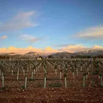 Finca Bella Vida