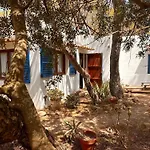 Studio Migjorn, Immerso Nel Verde A Pochi Passi Dal Mare