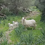 Agroturismo Finca Can Sec