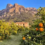 Can Sivella Groc