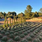 Amasana - Your Sanctuary Of Peace In Ibiza - 6 Br