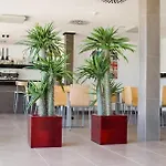 Playa Grande Hotel