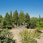 Villa Cifre