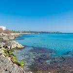 Rosa Dels Vents 2B