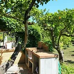 Finca Es Verger Des Port