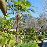 Soller Garden