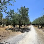 Sa Rota Finca En Bunyola 8 Personas- Muy Tranquilo