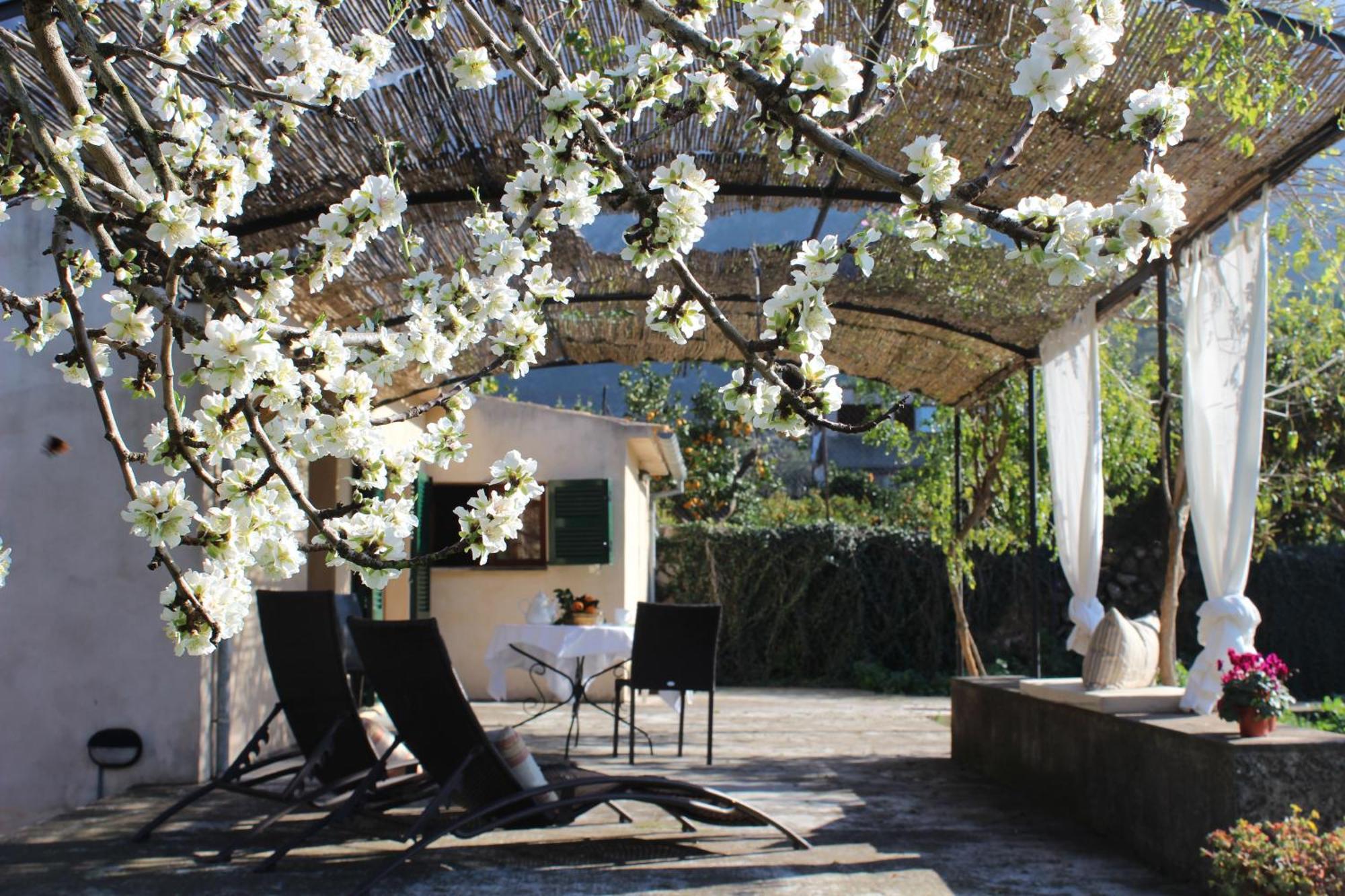 Relax Ii, Cozy And Rural Holiday home *