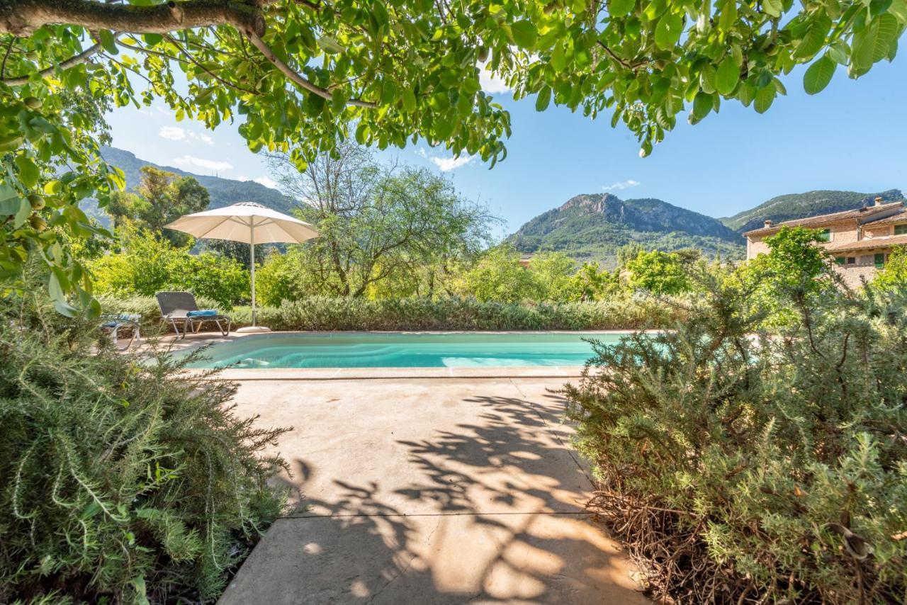 House Close To The Center, Large Flat Orchard&pool. Сasa de vacaciones