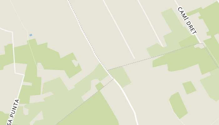 Térkép
