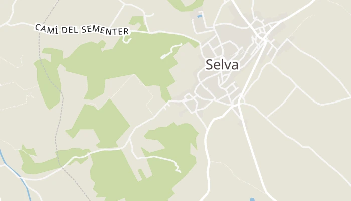Térkép