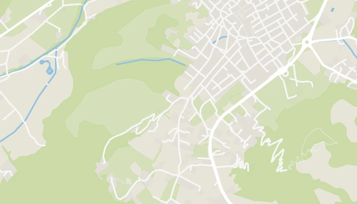 Χάρτης
